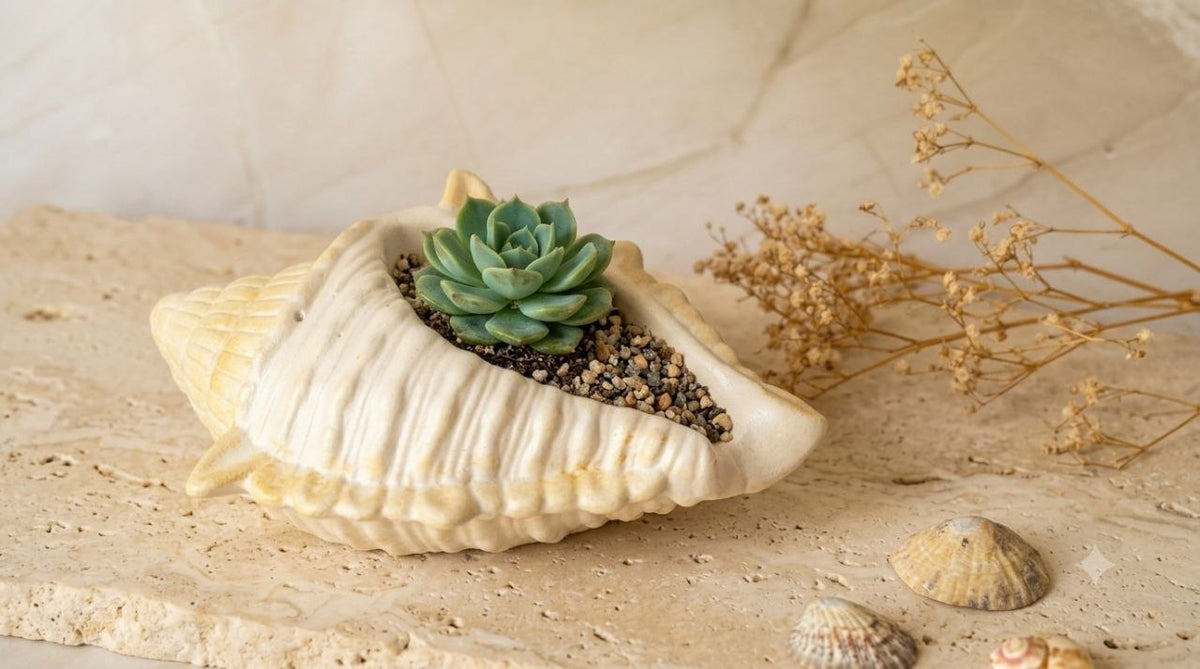 5 Creative Ways to Repurpose Plaster Candle Vessels featuring a succulent in a decorative shell planter.