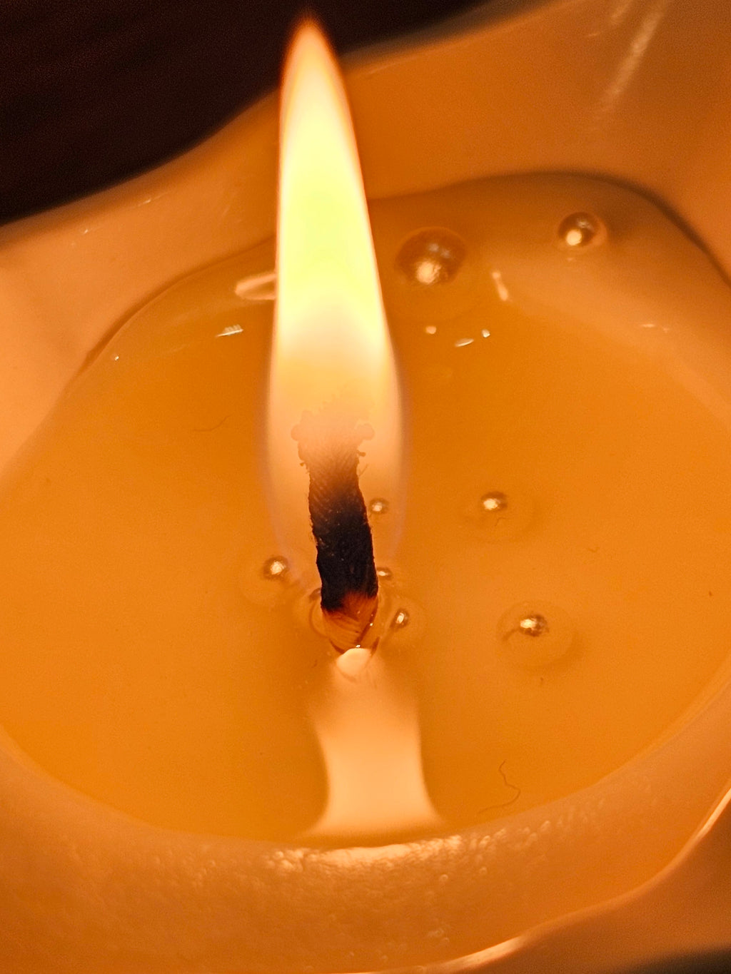 Silent Pearl – Shell Shaped Soy Candle with Pearls & Coastal Kale Scent