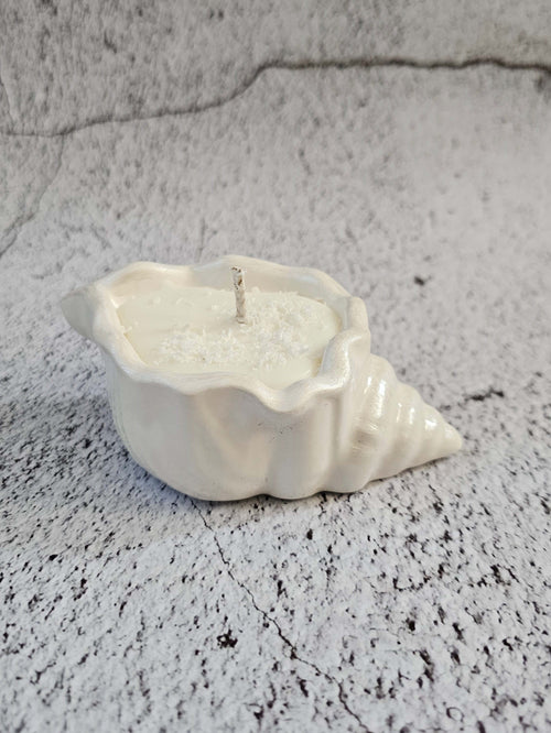 seashell soy candle in a coastal-themed shell-shaped jar with white wax and wick, ideal for coastal decor and gifts.