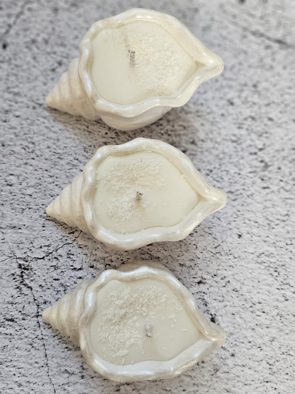 Coco Breeze – Shell Shaped Soy Candle with Coconut Island Scen