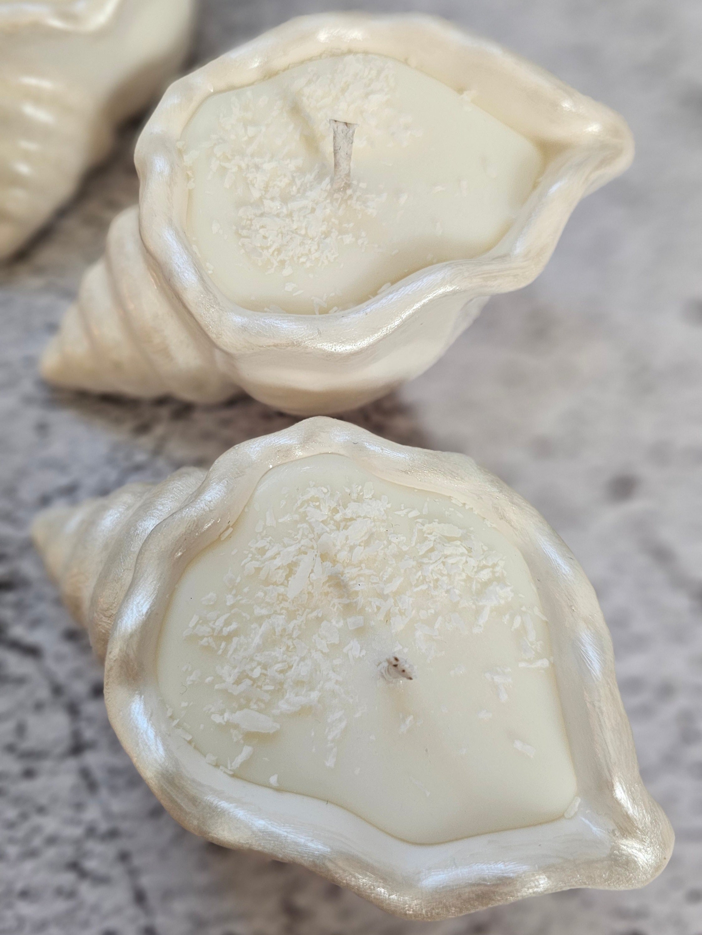 Coco Breeze – Shell Shaped Soy Candle with Coconut Island Scen