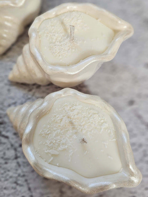 Seashell soy candle in a detailed seashell-shaped jar, showcasing tropical elegance and coastal decor.