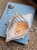 Handmade soy candle in seashell with golden glow – coastal décor gift