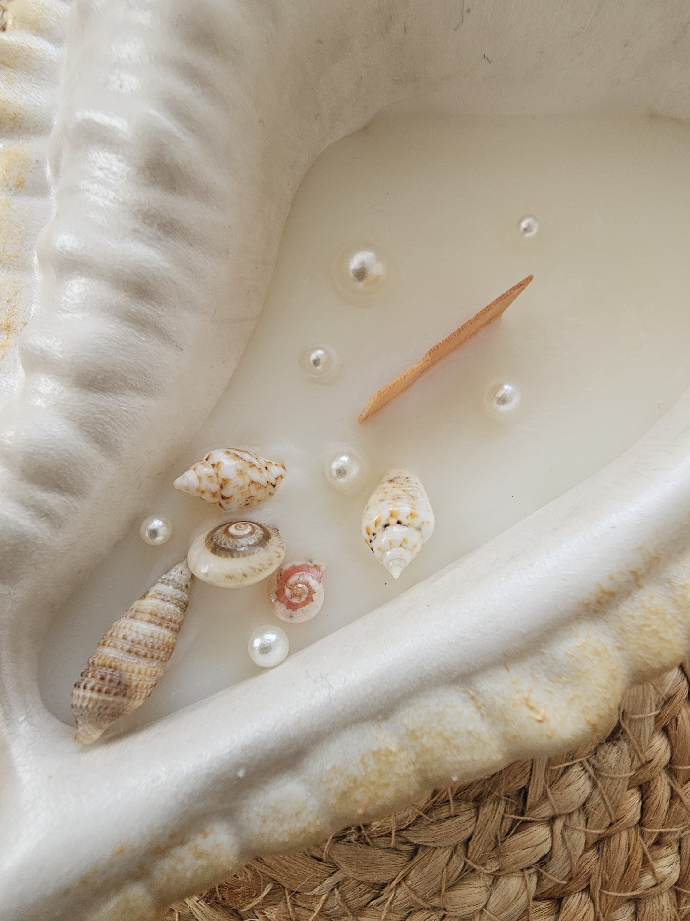 Ariel – Shell Shaped Soy Candle – Coastal Decor & Ocean-Inspired Gift