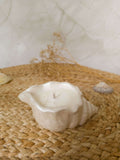 Seashell Soy Candle – Coco Breeze Shell Candle | Coastal Décor & Gift