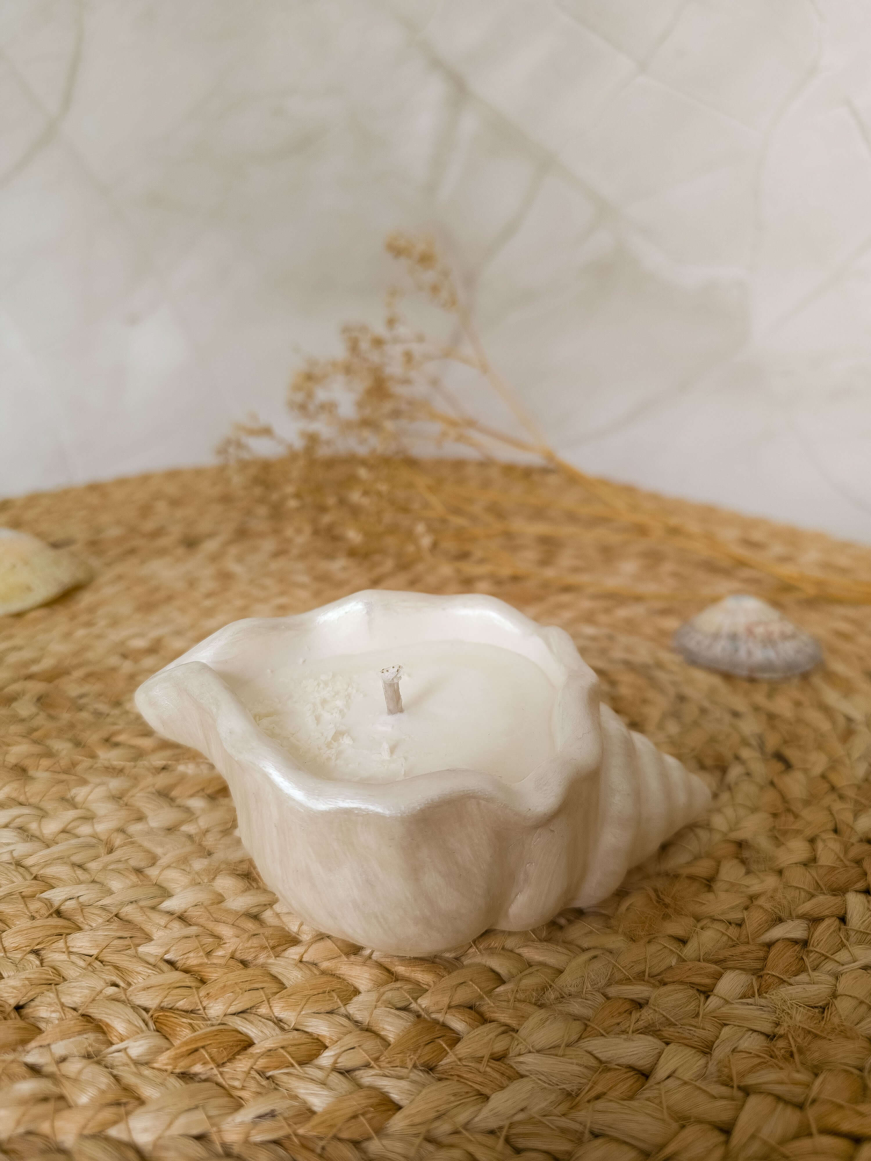Seashell Soy Candle – Coco Breeze Shell Candle | Coastal Décor & Gift