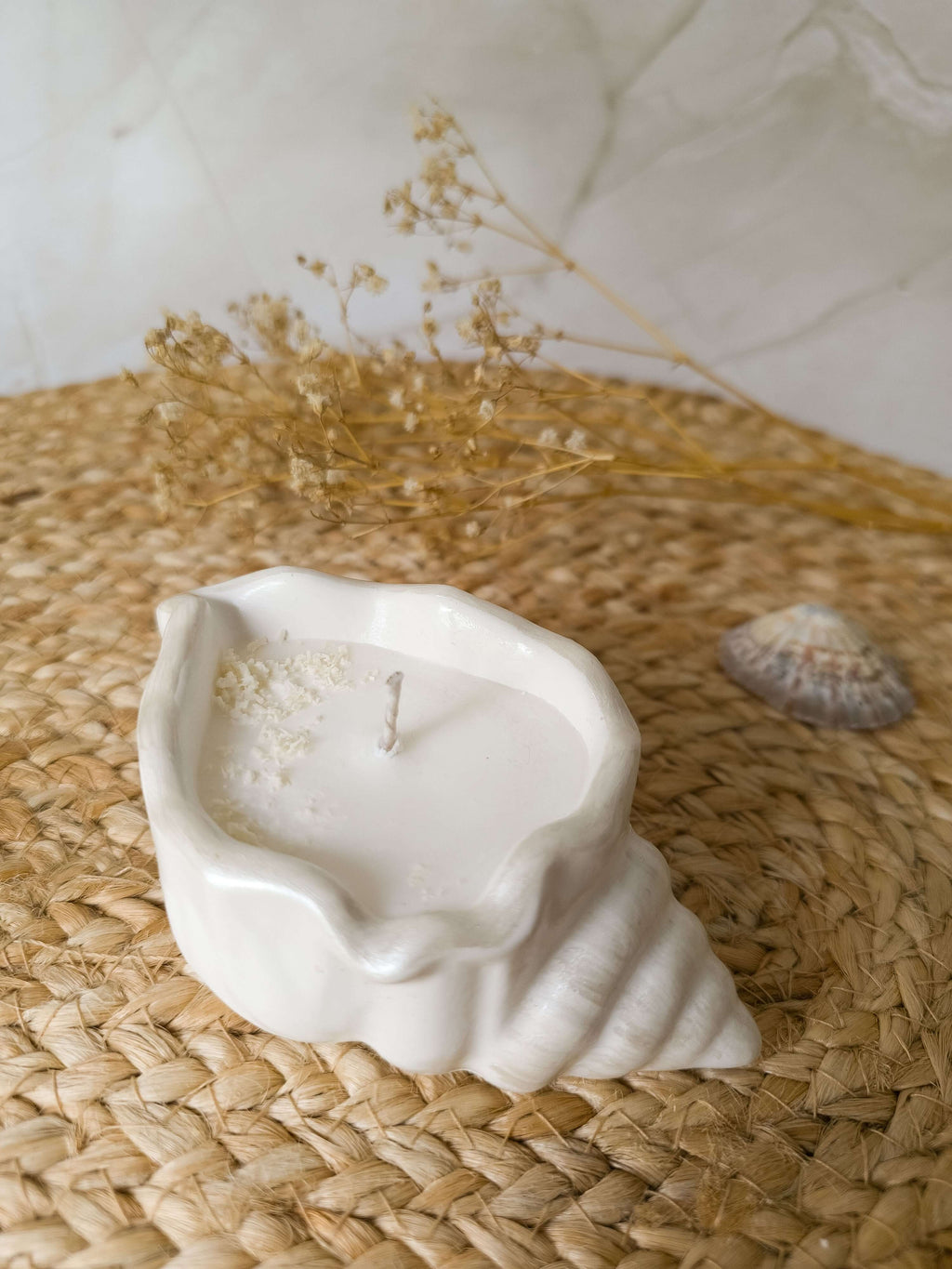 Seashell Soy Candle – Coco Breeze Shell Candle | Coastal Décor & Gift
