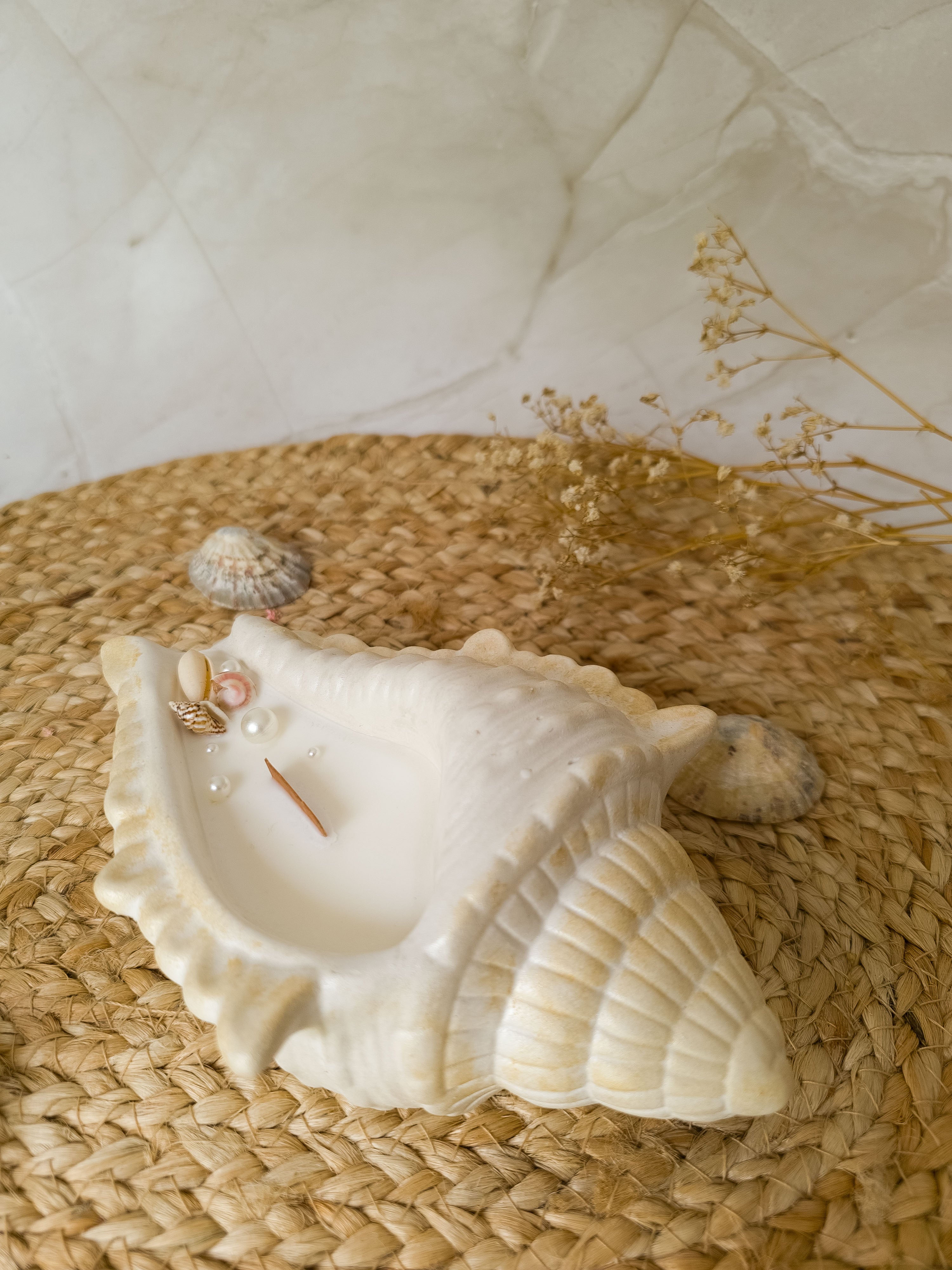 Soy Candle in Seashell – Ariel | Coastal Décor & Ocean Gift