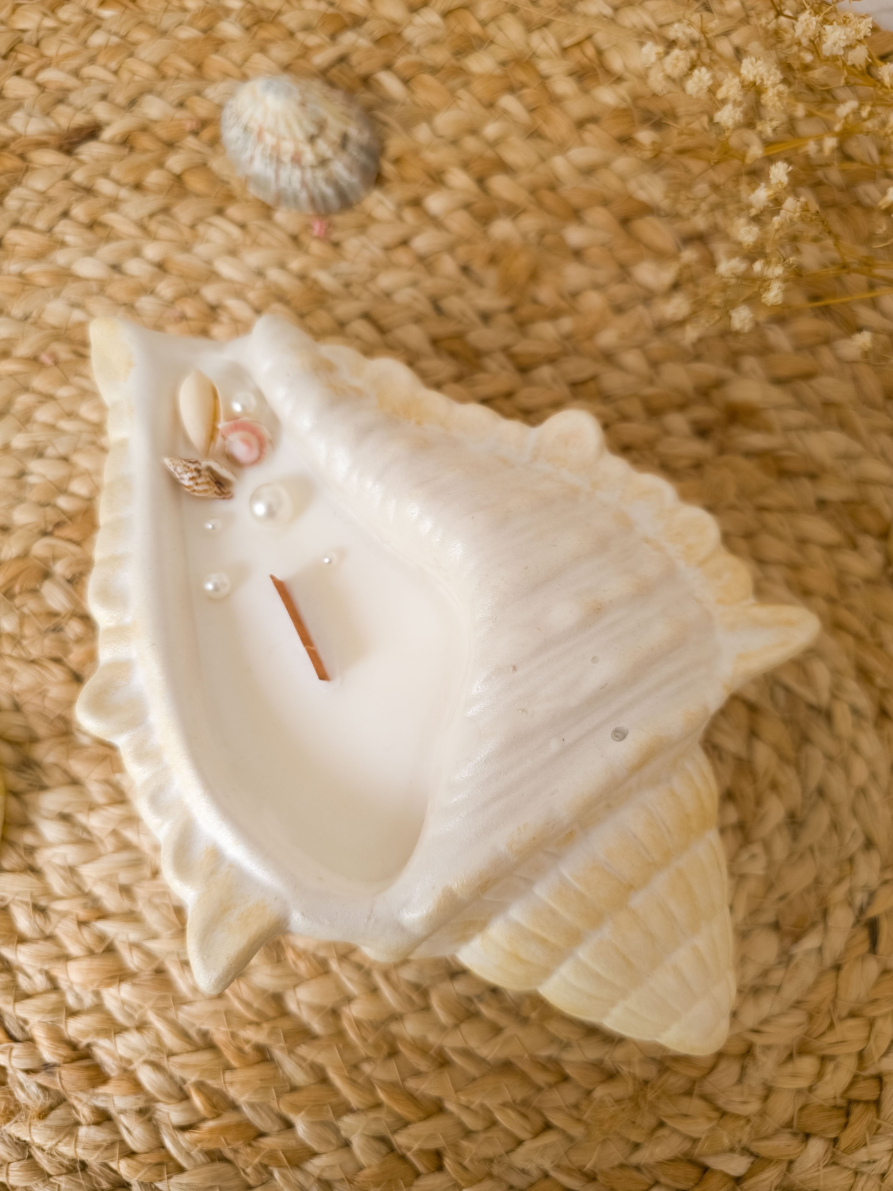 Soy Candle in Seashell – Ariel | Coastal Décor & Ocean Gift