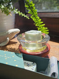 Ocean Treasures Wax Melt Set in glass dish with green leaves and decorative box by a window.