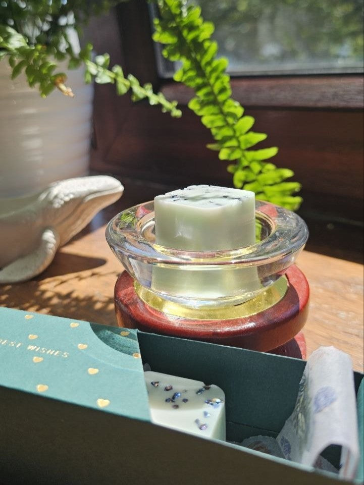 Ocean Treasures Wax Melt Set in glass dish with green leaves and decorative box by a window.