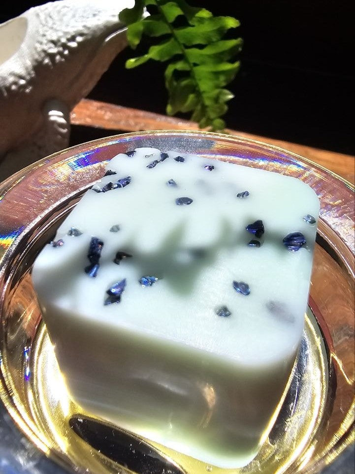 Ocean Treasures Wax Melt Set - a handcrafted wax melt with natural design elements and calming colors.