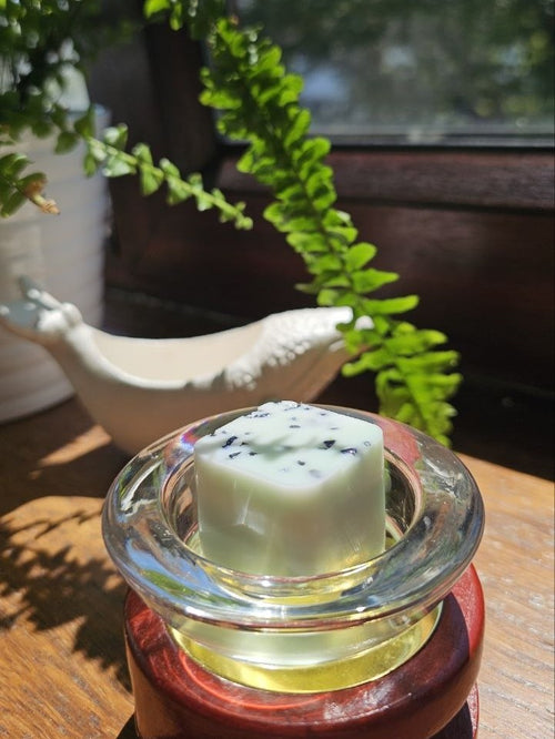 Ocean Treasures Wax Melt Set in an elegant glass dish, surrounded by greenery and decor, showcasing artisan craftsmanship.