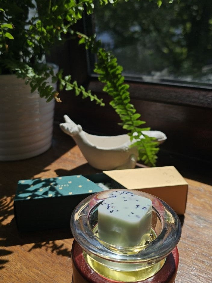 Ocean Treasures Wax Melt Set displayed with greenery and decorative accents in a bright interior setting.